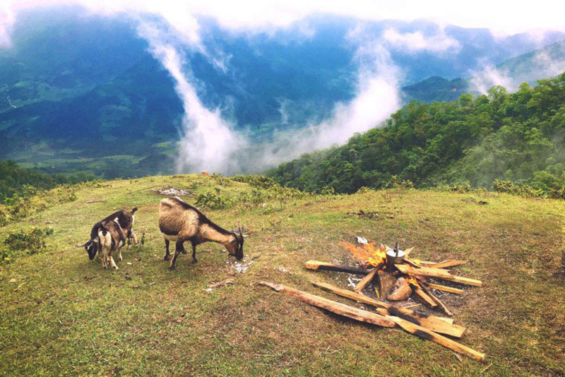 Cắm trại trên đỉnh Cao Xiêm, Cao Ly, Bình Liêu, Quảng Ninh